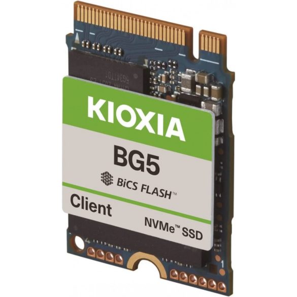 KIOXIA 512GB M.2 2230 NVMe BG5 Client